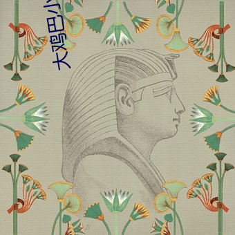 大鸡巴小说(說)