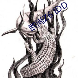 歐尚Z6 IDD