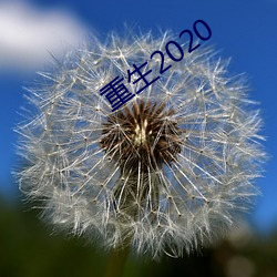 2020 Ҳ̶ã