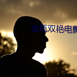 金瓶雙豔電影