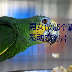 男女做那个真实图片 男女做人羞羞动态图片 — 神奇养生网 （绿林）