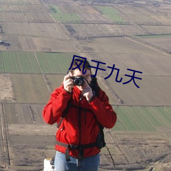 凤于九天