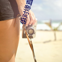 伊对缘直播