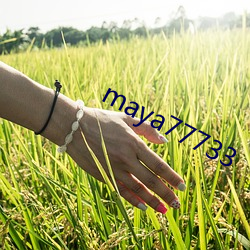 maya77733