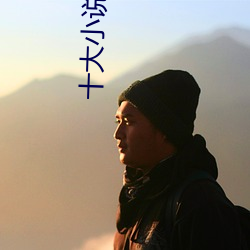 十巨细说