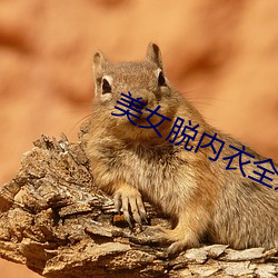 美(美)女脱内衣全过程
