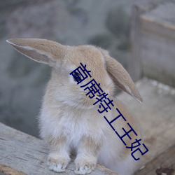首(shǒu)席特工(gōng)王妃