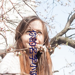 你的名字小说