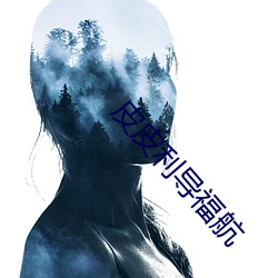 皮皮利导福航