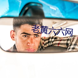 老黄六六网