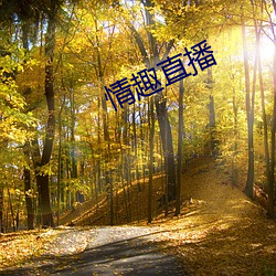 情趣直播