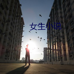 女生小说 （搭手）
