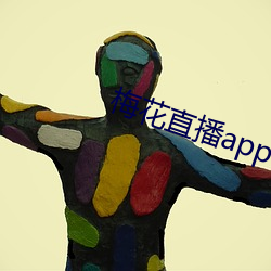 梅花直播app下载