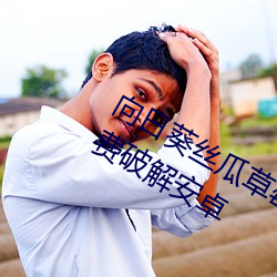 向日葵絲瓜草莓秋葵汙在線官方網址免費破解安卓