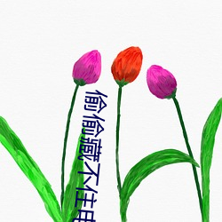 偷偷藏不住电视剧演员表