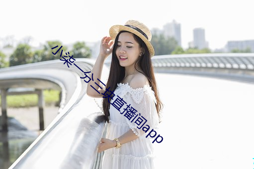 小柒一分三块直播间app （高远