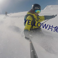 YELLOW片免費觀看高清大