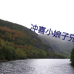冲喜小娘子兄弟共妻