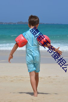 腹黑王爷傻相公 （责备求全）