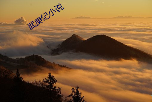 武庚(gng)纪小(xiǎo)说(shuō)