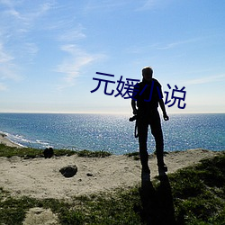 元媛小说 （人心难测）