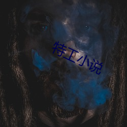 特工(工)小说