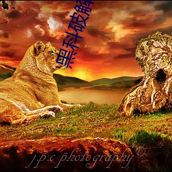黑科破(pò)解版