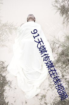 91天媒传媒在线视频