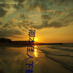 卿本佳人下载