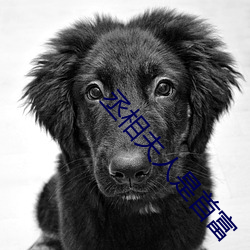 丞相夫人是(shì)首(shǒu)富