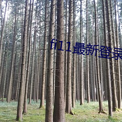 fi11最新登录口
