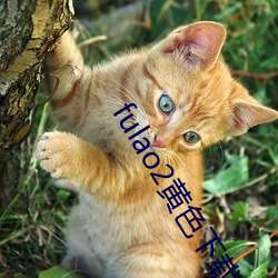 fulao2黃色下載