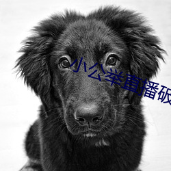 918博天堂·(中国)手机版客户端