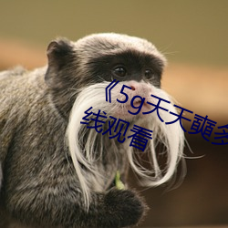 《5g天天奭(shì)多人运(yùn)动》高清不(bù)卡在线观看