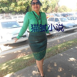 猫腻小说 （横恩滥赏）