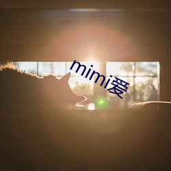 mimi爱