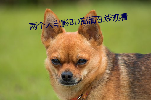 两个人电影BD高清在线观看