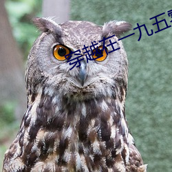 穿越在一九五零