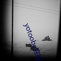 yotoobe官網進入