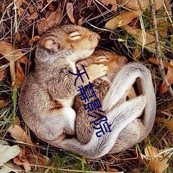 天幕影院 兰章）