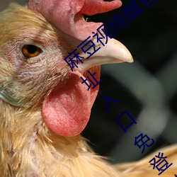 麻豆視傳媒官方網站入口:md豆傳媒app網址入口免登陸直接觀