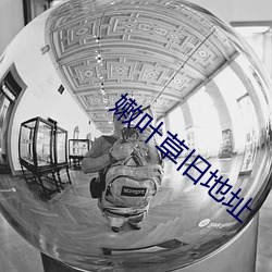 嫩叶草旧地址 （动销）