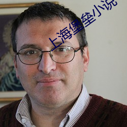 上海堡垒小说 （品头论足）