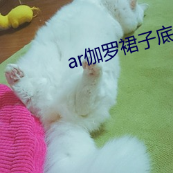 AG真人平台(中国)官方网站