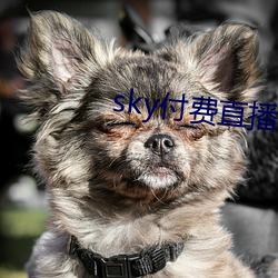 sky付費直播