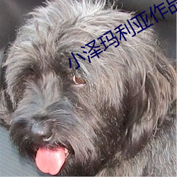 尊龙凯时·(中国)官方网站