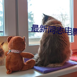 最新同志电影