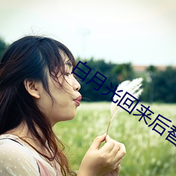 白月光回来后替身离开了