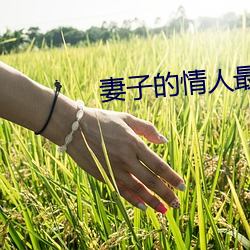 妻子的情人最新更新手打全文字