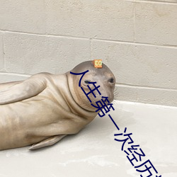 人生(生)第一次经历(曆)描述